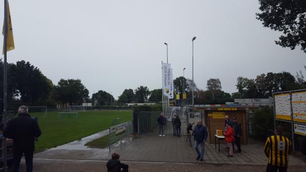 Sportpark De Maten veld 10 - Kampen