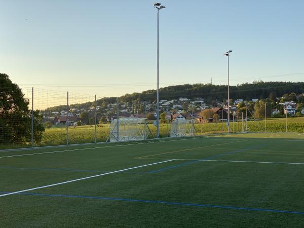 Sportplatz Sürenloh Platz 2 - Uitikon