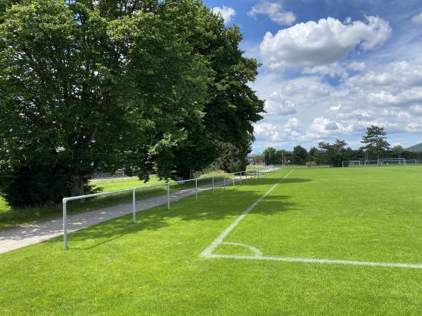 Sportanlage Juchhof 2 Platz 2 - Schlieren