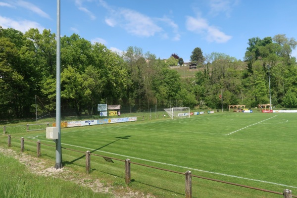 Stade du Puisoir - Orbe