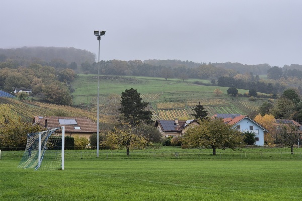 Terrain de la Cour - Bonvillars