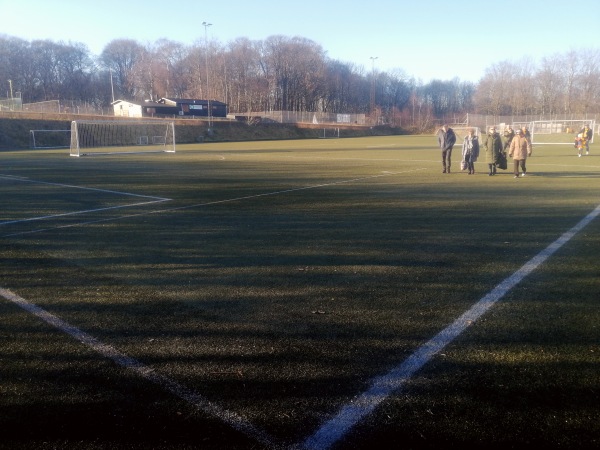 DS Arena Bane 3 - Hobro