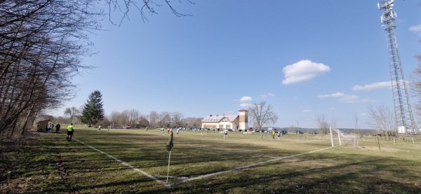 Boisko w Radnica - Radnica