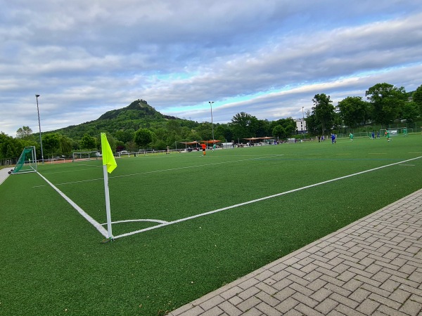 Sportanlage am Jenzig Platz 2 - Jena-Wenigenjena