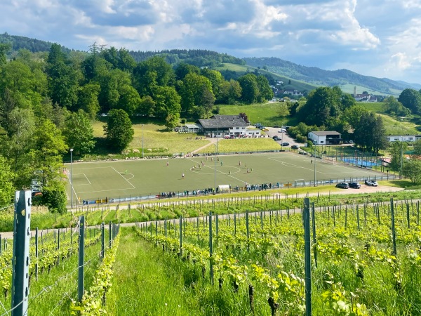 Eckboschstadion - Baden-Baden-Varnhalt