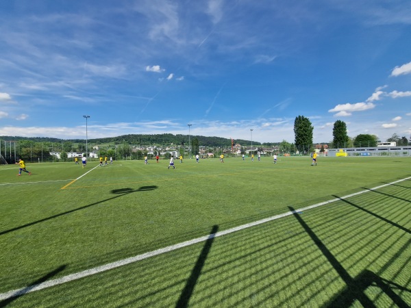 Sportanlage Zelgli Platz 4 - Schlieren