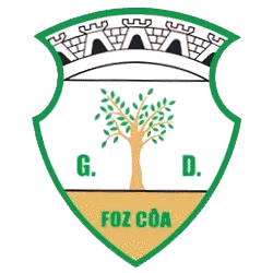 Wappen GD Vila Nova de Foz Côa
