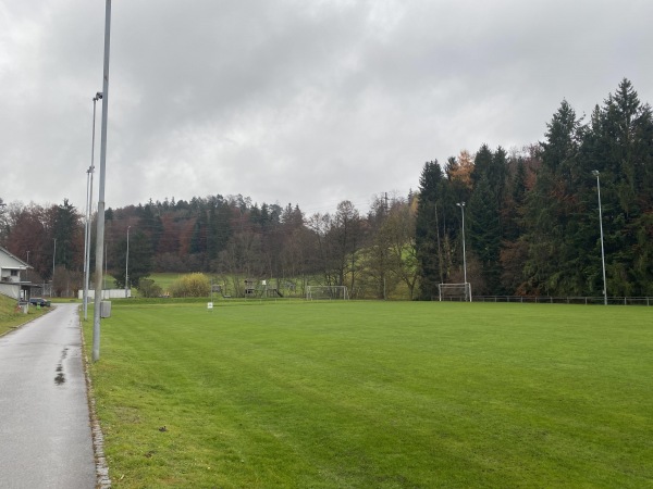 Sportplatz Baumann Federn - Ermenswil