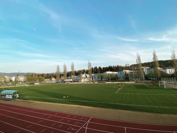 Löwenherz Personal Arena - Rotkreuz