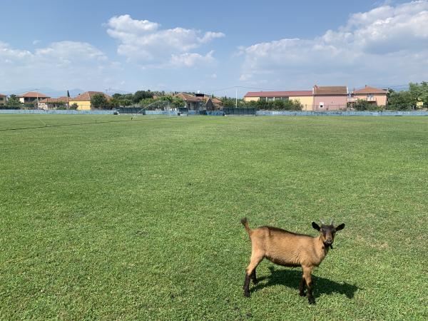 Stadion Cijevna - Golubovci