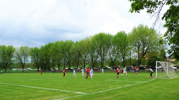 Buscui Sportpálya - Bucsu