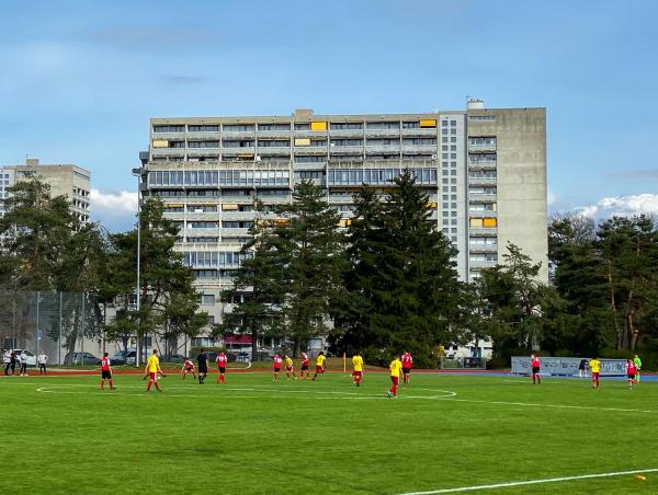Sportanlage Fronwald Platz 3 - Zürich