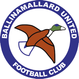 Wappen Ballinamallard United FC diverse
