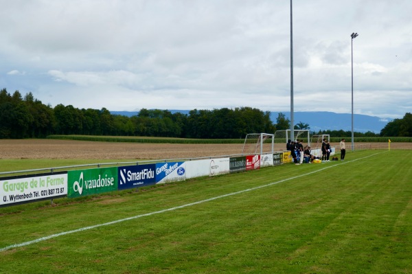 Terrain de la Praz - Bercher