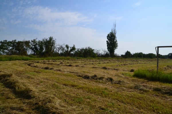 Sportplatz Zabitz - Osternienburger Land-Zabitz