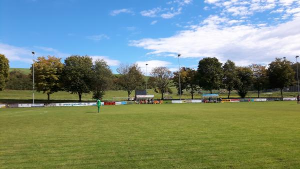 Sportplatz Niderwis - Elsau