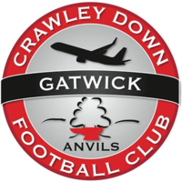 Wappen Crawley Down Gatwick FC  84734