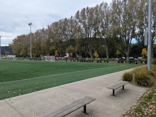 Logan Park Field A1 - Dunedin