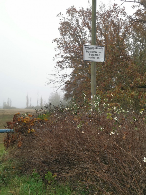Parksportplatz - Osternienburger Land-Trebbichau