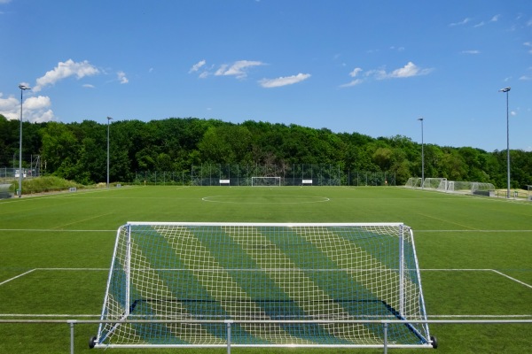 Centre Sportif En Bord terrain D - Gland