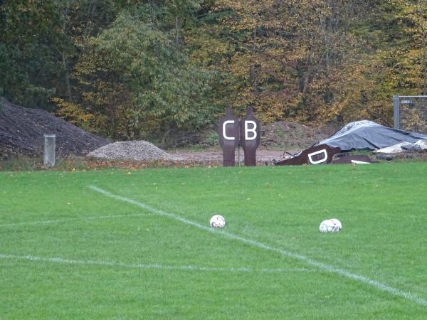 Sportplatz Im Asbüsch - Fisch/Saargau