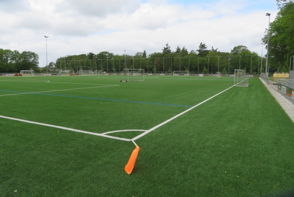 Sportpark De Boshoek veld 2 - Hardenberg