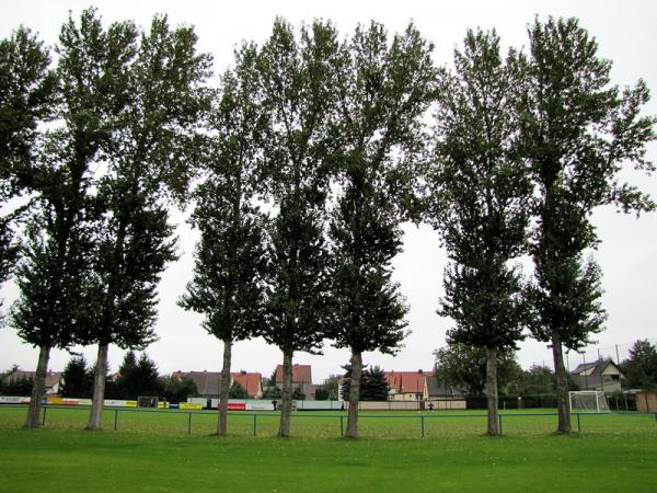 Sportplatz Großgräfendorf - Bad Lauchstädt-Großgräfendorf 