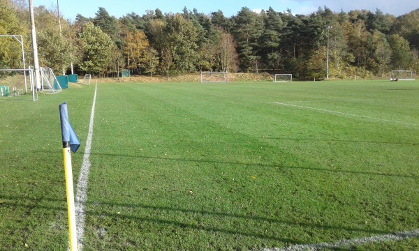 Heinz-Dettmer-Stadion C-Platz - Lohne (Oldenburg)