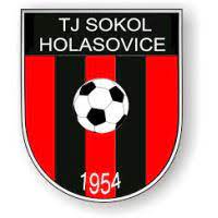 Wappen TJ Sokol Holasovice  119029