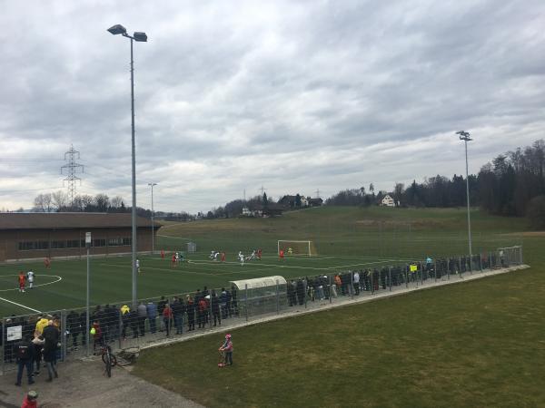 Sportplatz Schützenwiese Platz 3 - Rüti ZH