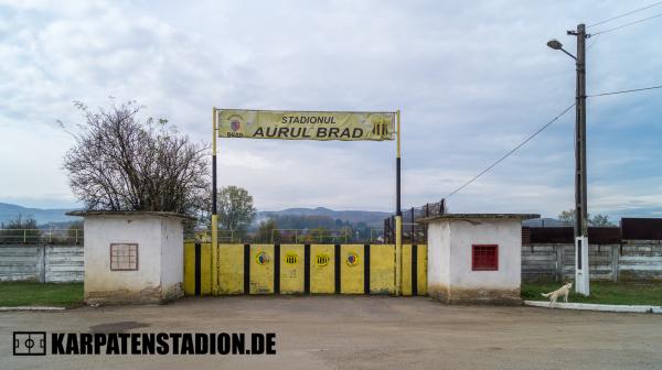 Stadionul Aurul - Brad