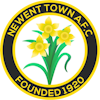 Wappen Newent Town AFC  85399
