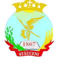 Wappen FC Stăuceni  50020