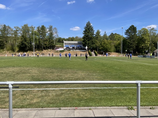 Willi Stoll Arena - Alzey-Weinheim