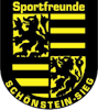 Wappen SF Schönstein 1919