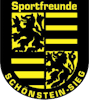 Wappen SF Schönstein 1919  29995