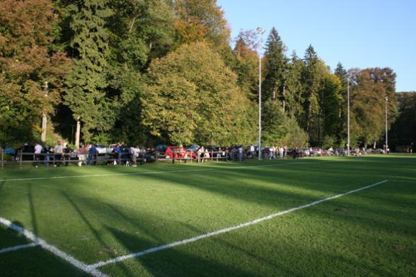 Sportplatz Reitplatz Platz 2 - Winterthur