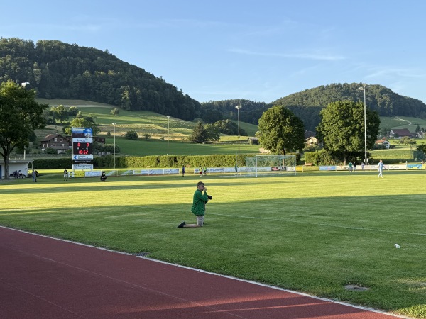 Sportplatz Kleinfeld - Reiden