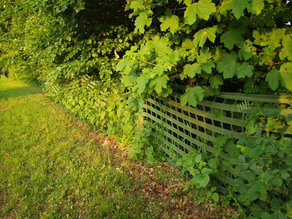 Sportplatz an den Tannen - Schwelm-Linderhausen