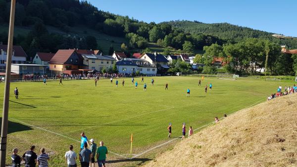 Sportplatz Unterer Hermannsberg - Steinbach-Hallenberg-Unterschönau