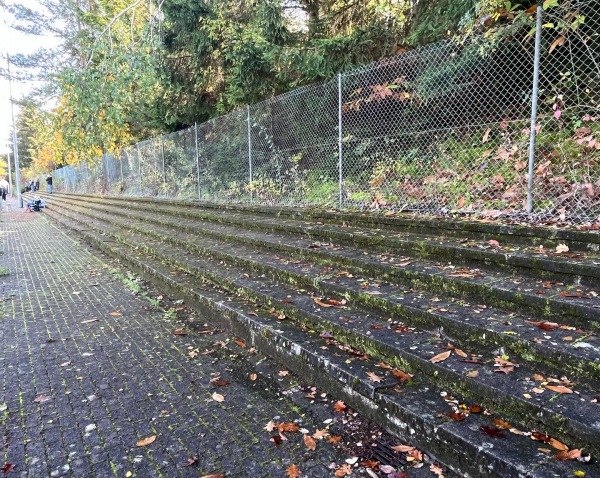 Sportanlage Auf der Platte - Thaleischweiler-Fröschen