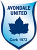 Wappen Avondale United FC