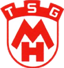 Wappen TSG Mittelbach-Hengstbach 1931  86689