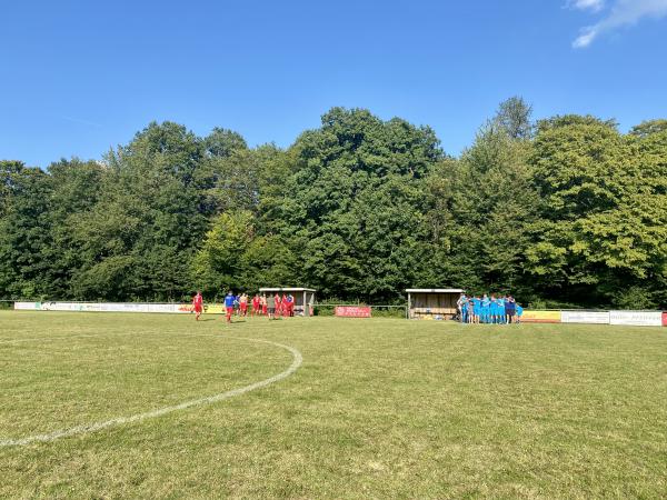 Waldstadion - Wertheim-Dörlesberg