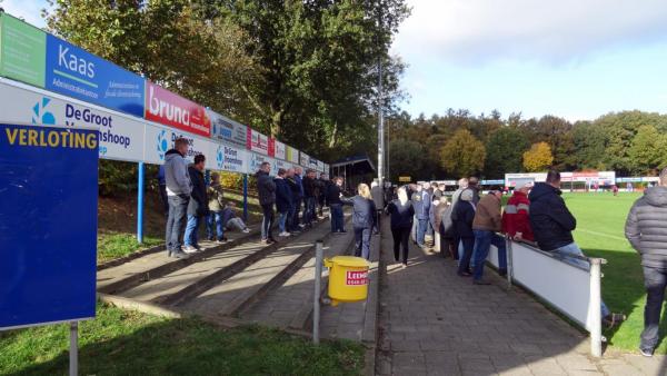 Sportpark De Bosrand veld 2-hoofdveld - Twenterand-Vroomshoop