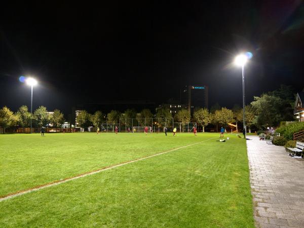 Sportanlage Novartis St. Johann - Saint-Louis