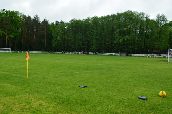 Stadion Shankhai-Siro - Shepetivka