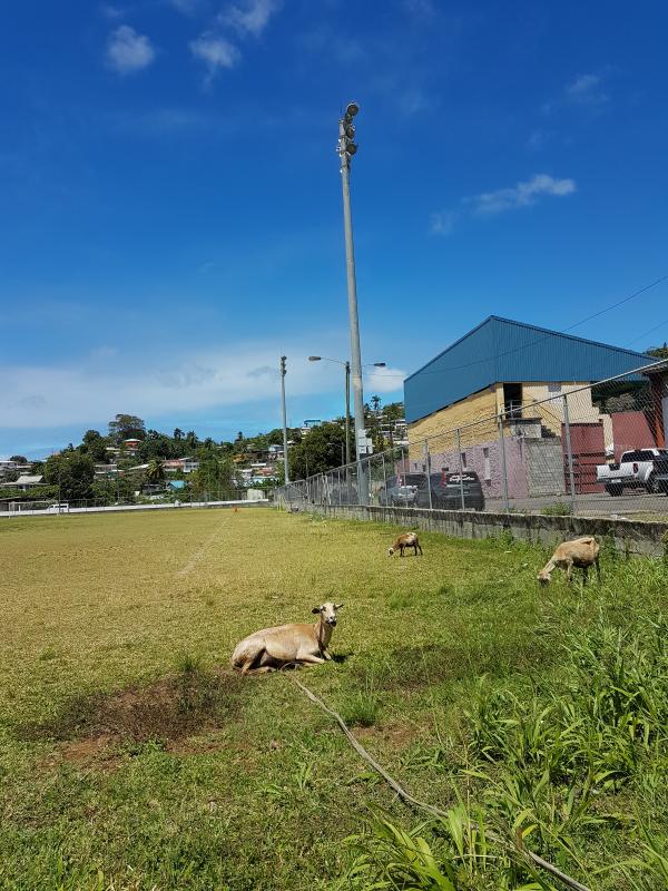 Marchand Playing Field - Castries-Marchand