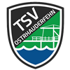 Wappen TSV Ostrhauderfehn 2020 III  90497