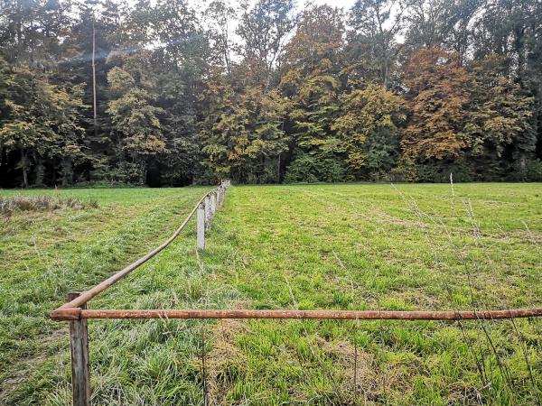 Sportplatz Oberholz - Rielasingen-Worblingen-Arlen